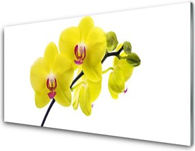 Szkło Dekoracyjne do Kuchni Wyrafinowana Flora Ogrodowa