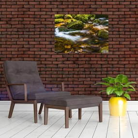Obraz na szkle - strumień (70x50 cm)