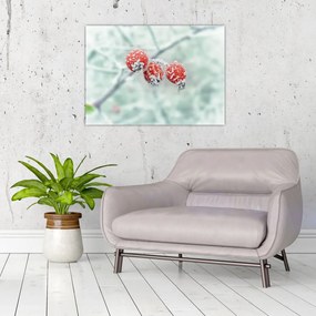 Obraz mrożonych owoców dzikiej róży (70x50 cm)
