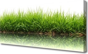 Obraz na płótnie Naturalna Świeżość Zieleni