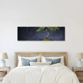 Obraz - Bonsai (170x50 cm)
