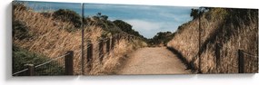 Obraz - Na szlaku (170x50 cm)