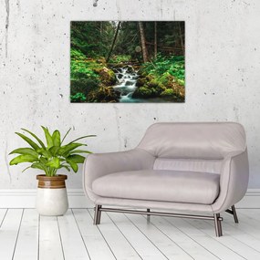 Obraz strumienia w lesie (70x50 cm)