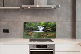Szklany Panel Tygrysy przy Wodospadzie