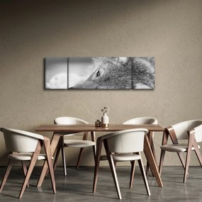 Obraz - Wilk, czarno - biały (170x50 cm)