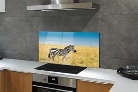 Panel nad Blat Kuchenny Samotna Zebra na Polu