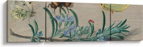 Obraz - Jan van Kessel the Elder, Insects and a Sprig of Rosemary, reprodukcje (170x50 cm)