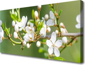 Obraz drukowany na płótnie Kwitnący Sad Owocowy