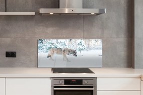 Panel Szklany Wilk zima las