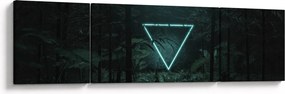 Obraz - Neonowy trójkąt w dżungli (170x50 cm)