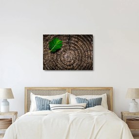 Obraz na szkle - liść na pniu drzewa (70x50 cm)