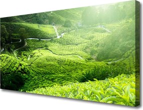 Fotoobraz na płótnie Zieleń Naturalnej Łąki