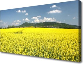 Obraz canvas Złociste Pole Rzepaku