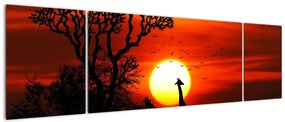 Obraz - Sylwetki zwierząt o zachodzie słońca (170x50 cm)