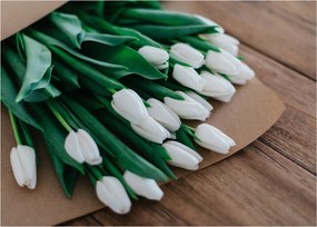 Obraz na szkle - bukiet białych tulipanów (70x50 cm)
