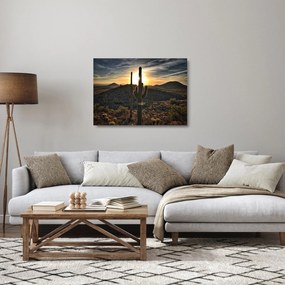 Obraz na szkle - kaktusy w słońcu (70x50 cm)