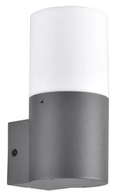 Kinkiet zewnętrzny DALLAS 1xE27/12W/230V IP44 antracyt