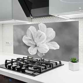 Panel Kuchenny Kolorowy Ogród Na Szkle