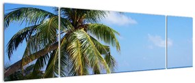 Obraz palmy na plaży (170x50 cm)