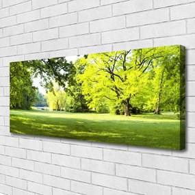 Obraz canvas Parkowa Aleja w Słońcu