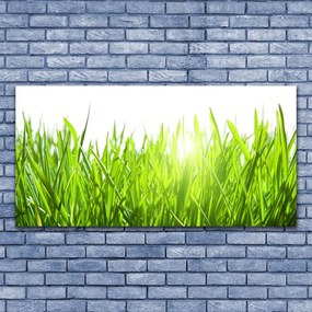 Zdjęcie na płótnie Soczysta Zielona Trawa