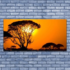 Zdjęcie na płótnie Słońce Przebijające przez Liście