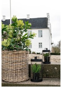 Sztuczna roślina Skimmia – House Nordic