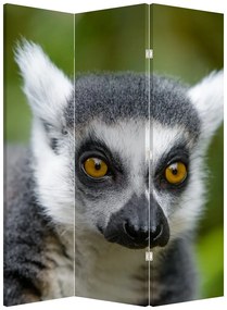 Parawan - Lemur (126x170 cm)