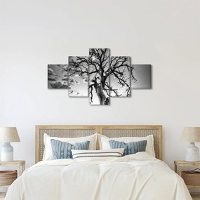 Obraz - Czarno - białe drzewo (125x70 cm)