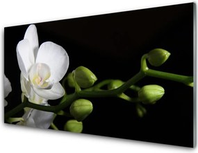 Panel Szklany Botaniczna Elegancja Kwiatów