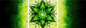 Obraz - Kwiatowa mandala na zielonym tle (z zegarem) (90x30 cm)