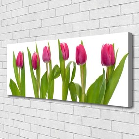 Obraz canvas Wiosenny Bukiet Tulipanów