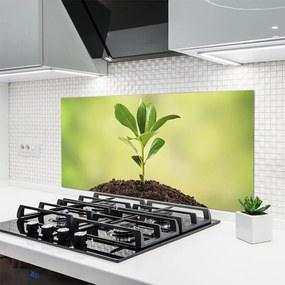 Szkło do Kuchni na Ścianę Narodziny Życia: Młody Pęd