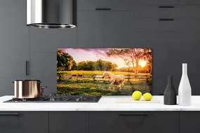 Szkło do Kuchni na Ścianę Dzikie Konie Na Pastwisku