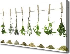 Obraz canvas Świeżość Kwiatów Ogrodowych