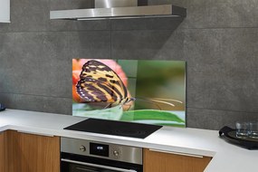 Panel Kuchenny Szklany Samotny Motyl w Locie