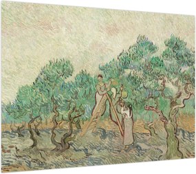 Obraz - Vincent van Gogh, The Olive Orchard, reprodukcje (70x50 cm)