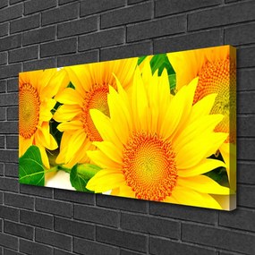 Obraz Canvas Słonecznik Kwiat Natura