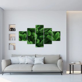 Obraz - Gałązki drzew iglastych (125x70 cm)