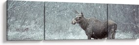 Obraz - Łoś w śnieżnym lesie (170x50 cm)
