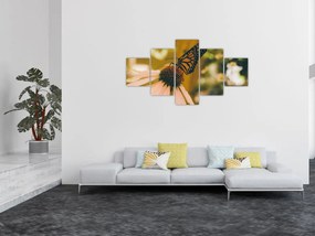 Obraz motyla na kwiatku (125x70 cm)