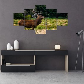Obraz jelenia (125x70 cm)