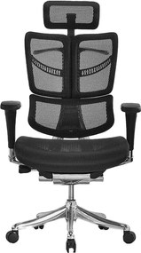 Fotel ergonomiczny z siatki ErgoFly Fly, zgodny z normą BHP
