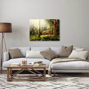Obraz jelenia w lesie (70x50 cm)