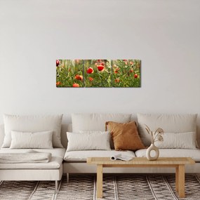 Obraz maków (z zegarem) (90x30 cm)