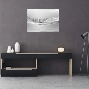 Obraz na szkle - Srebrny krajobraz (70x50 cm)