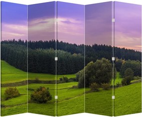 Parawan - Łąka (210x170 cm)