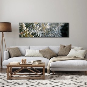 Obraz - Detal gałęzi (170x50 cm)