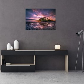 Obraz plaży o zachodzie słońca (70x50 cm)