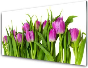 Panel nad blat kuchenny Tęczowe Pole Tulipanów